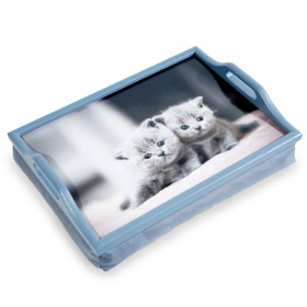 Plateau d'écriture ou de Lecture en bois avec coussin - Aidapt VM938E - Convient pour les repas, les loisirs et l'artisanat