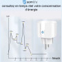 lot 2 prises connectées Somlife application tuya smart life controle de consomation Compatible avec Alexa/Google Home