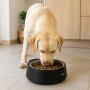 LIVOO Distributeur de croquettes automatique pour animaux de compagnie - Noir