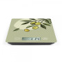 Balance de cuisine électronique LIVOO Vert Olive 5kg précision 1g DOM451OL