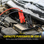Dunlop Pack Dépannage Auto Coffret 108 Pièces KraftMüller + Câbles Démarrage 350A 3,5m