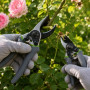 KINZO Ciseaux de Jardin 21cm et 16cm - Poignée Ergonomique - Lot de 2 Tailles