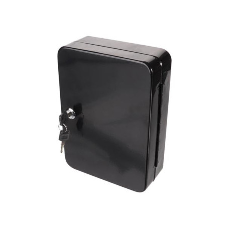Perel BG80023 Armoire à clés murale 48 crochets serrure cylindrique 2 clés noir fixation murale